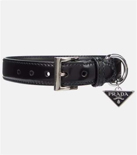 collar prada para perro|Prada leather dog bag.